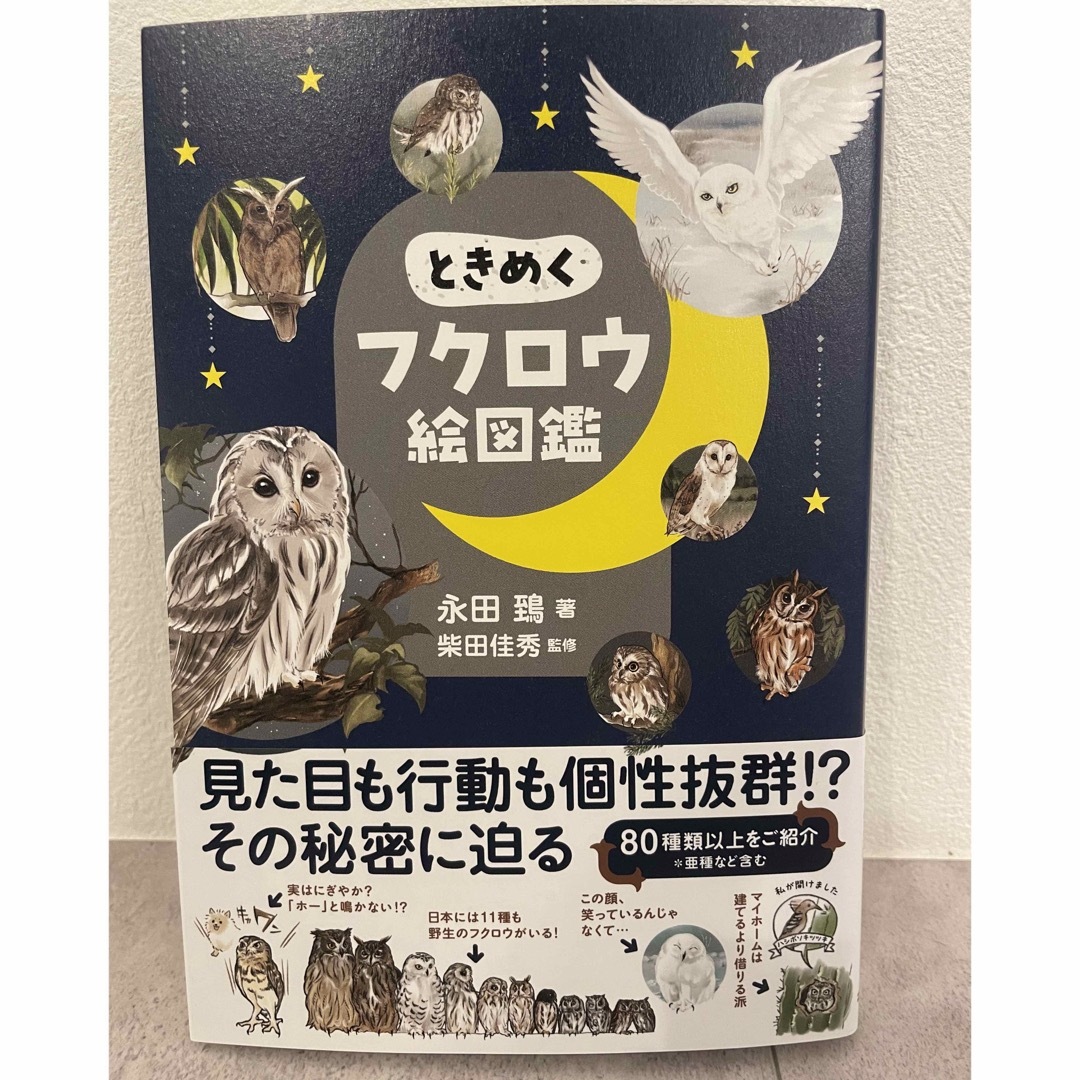 新品　ときめくフクロウ図鑑 エンタメ/ホビーの本(趣味/スポーツ/実用)の商品写真