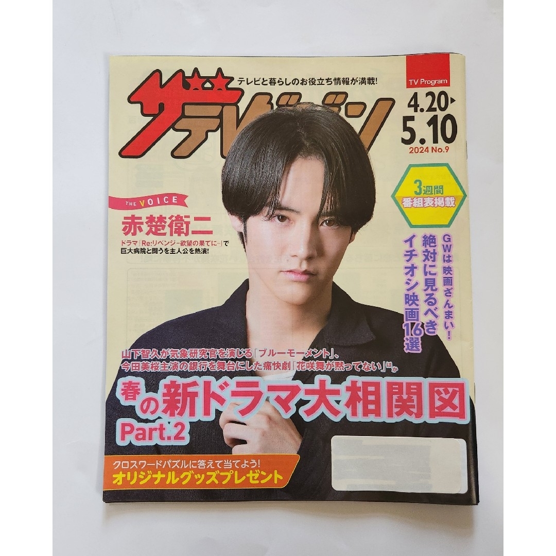 赤楚衛二　ニッセイ　ザテレビジョン　雑誌 エンタメ/ホビーの雑誌(アート/エンタメ/ホビー)の商品写真