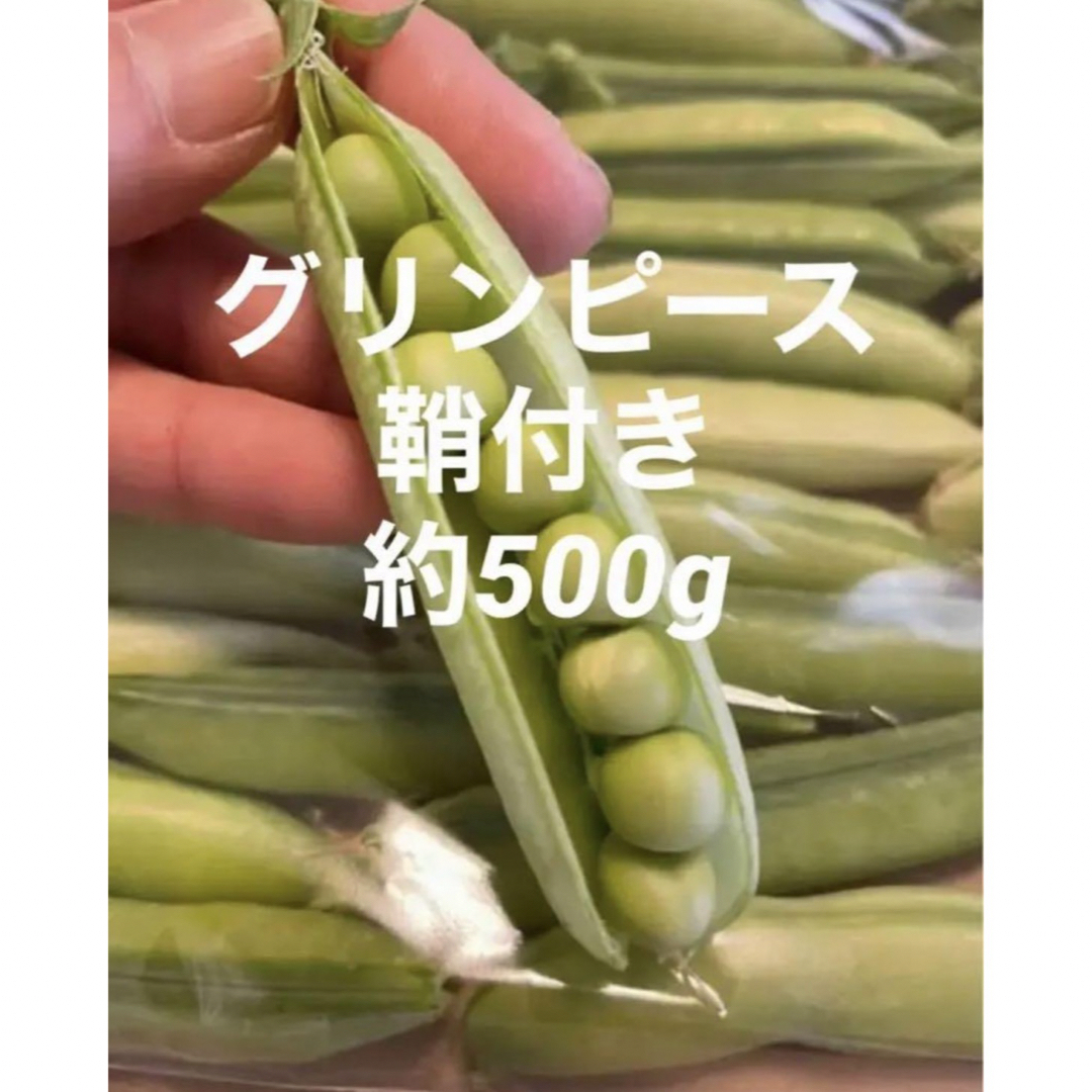 エンドウ豆 グリンピース 約500g 鞘付き 愛媛県産 食品/飲料/酒の食品(野菜)の商品写真