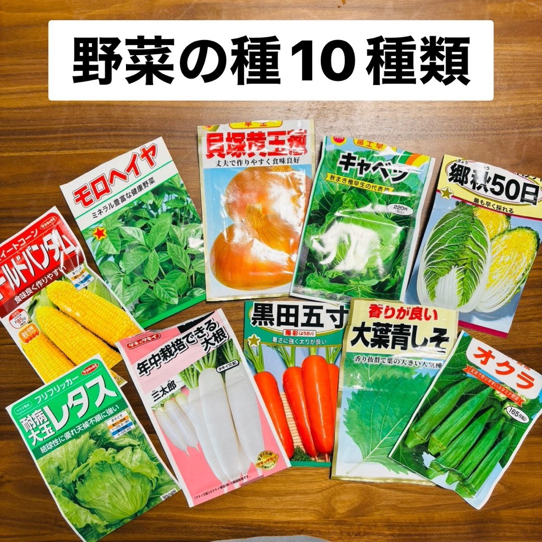 野菜の種　10種類　家庭菜園 食品/飲料/酒の食品(野菜)の商品写真