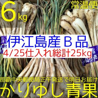 〈当店イチオシ〉伊江島産 島らっきょうＢ品約６kg【常温便無料】4/25①(野菜)