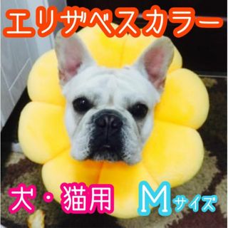 【新品】Ｍ エリザベスカラー 犬用 猫用 ひまわり 傷口保護 ソフト 黄色(犬)