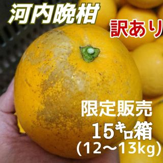 愛媛県産★農家直送★河内晩柑 訳あり 12〜13キロ