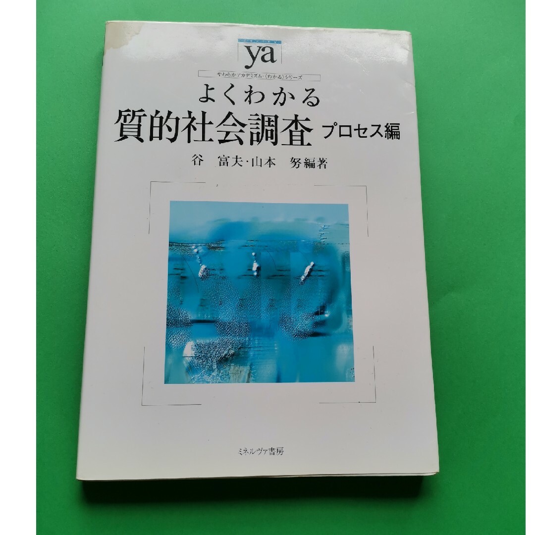 よくわかる質的社会調査　プロセス編 エンタメ/ホビーの本(人文/社会)の商品写真