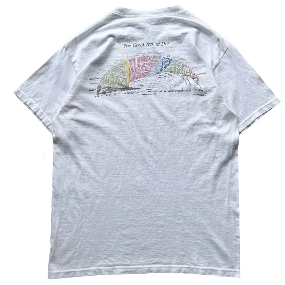 BEAUTY&YOUTH UNITED ARROWS(ビューティアンドユースユナイテッドアローズ)の最終価格　2008 レン・エイゼンバーグ　猫　Tシャツ　used ヴィンテージ メンズのトップス(シャツ)の商品写真