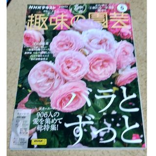 NHK 趣味の園芸 2024年 05月号 [雑誌](その他)