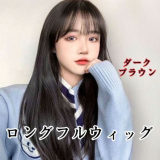 ウィッグ ロング リアル 小顔 ナチュラルブラック ストレート 清楚 医療 黒(ロングストレート)