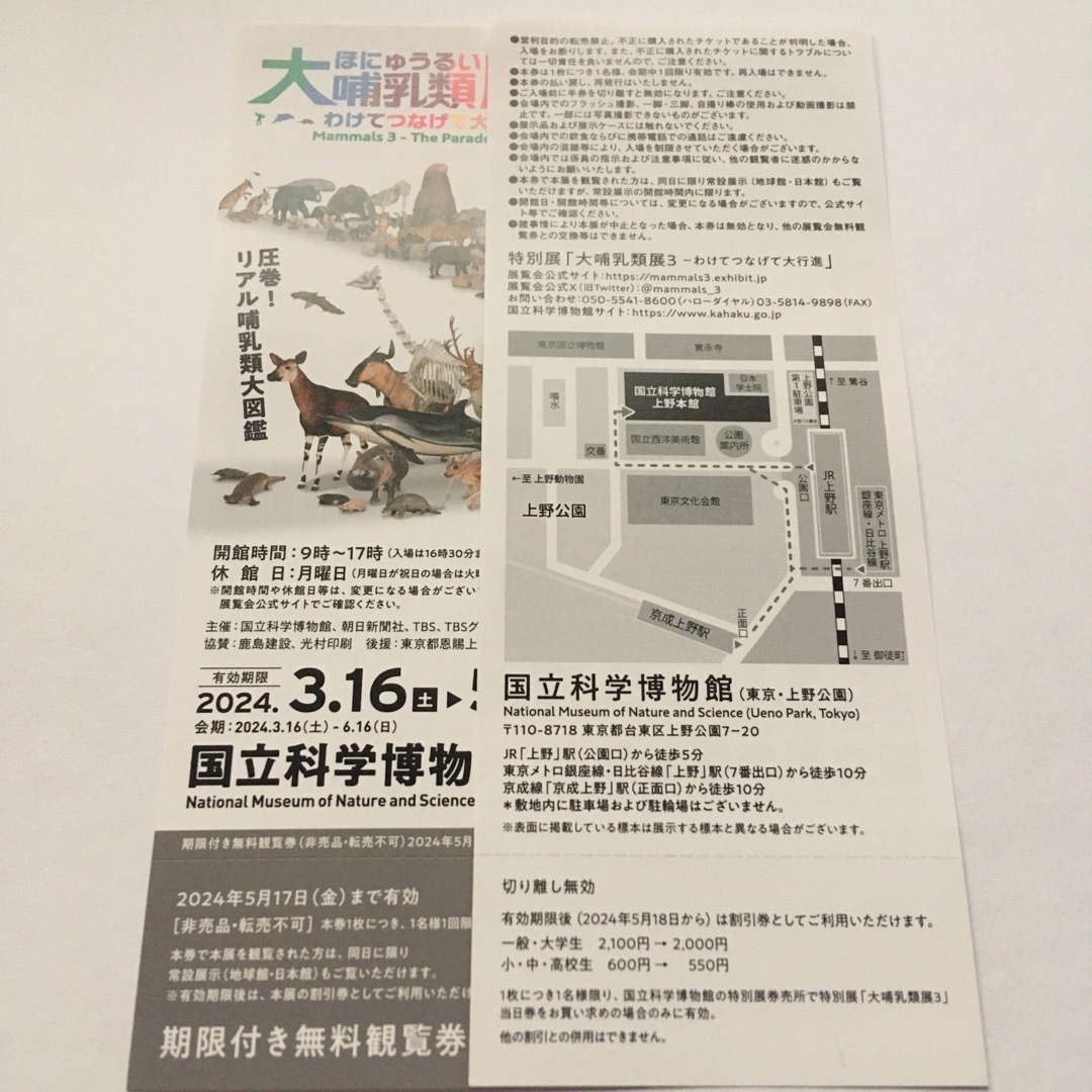 『大哺乳類展3』  観覧券2枚 チケットの施設利用券(美術館/博物館)の商品写真