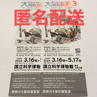 『大哺乳類展3』  観覧券2枚(美術館/博物館)