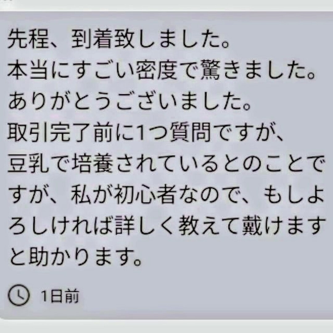 史上最強★絶対の自信あり★密度が違います★簡単培養ゾウリムシ500ml★ その他のペット用品(アクアリウム)の商品写真