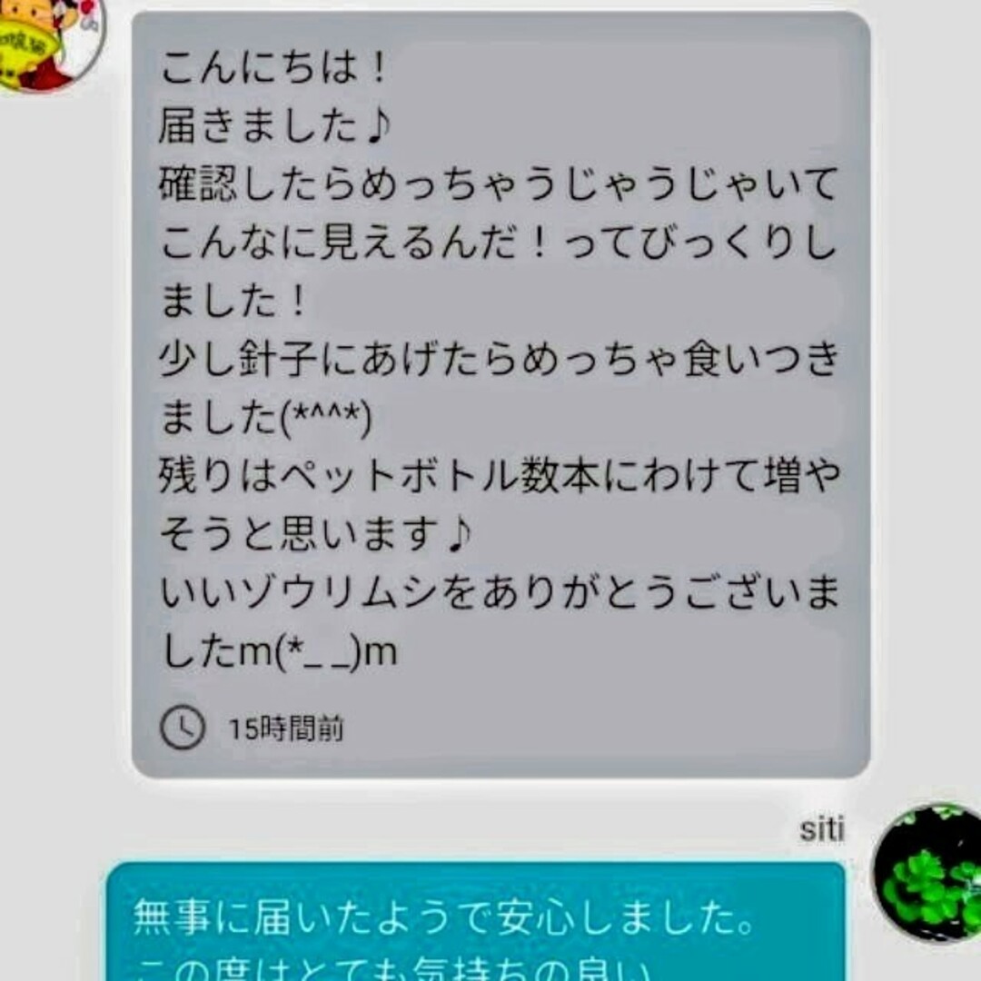 史上最強★絶対の自信あり★密度が違います★簡単培養ゾウリムシ500ml★ その他のペット用品(アクアリウム)の商品写真