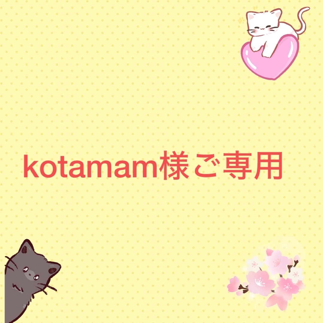 kotamam様ご専用 その他のペット用品(ペットフード)の商品写真