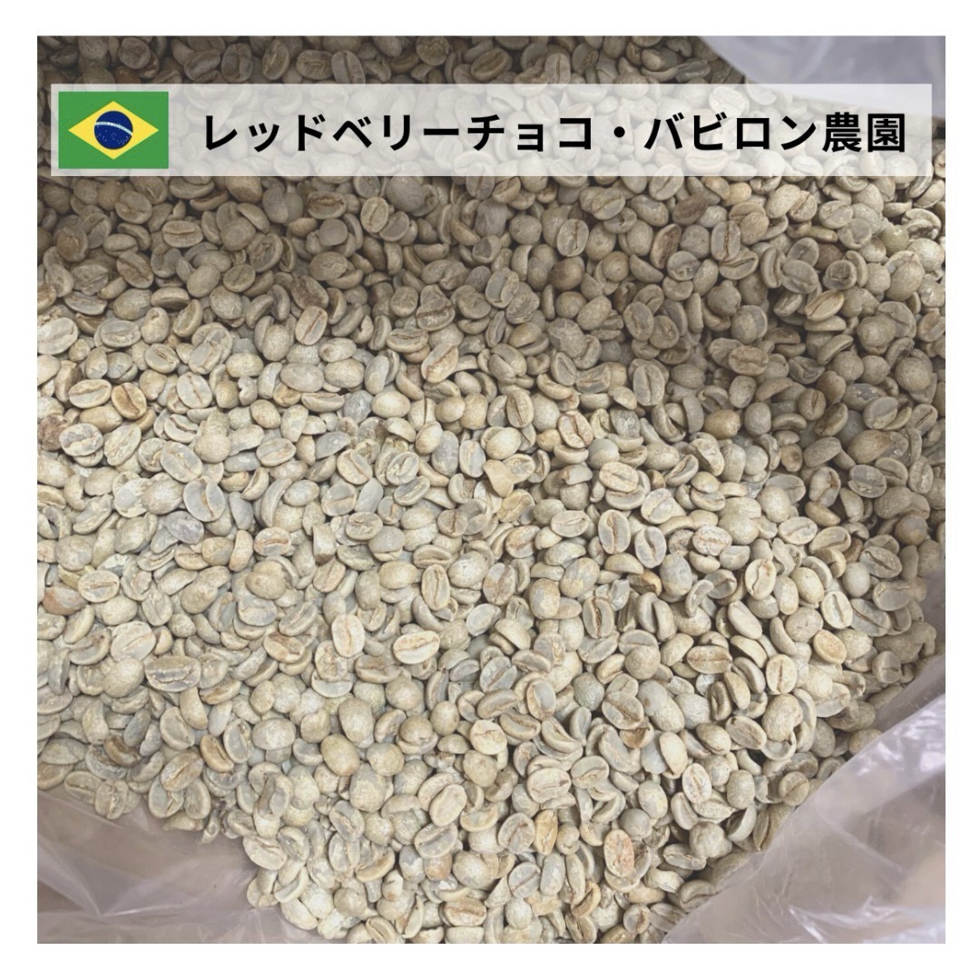 レッドベリーチョコ生豆コーヒー　【5Kg 】【送料無料】 食品/飲料/酒の飲料(コーヒー)の商品写真