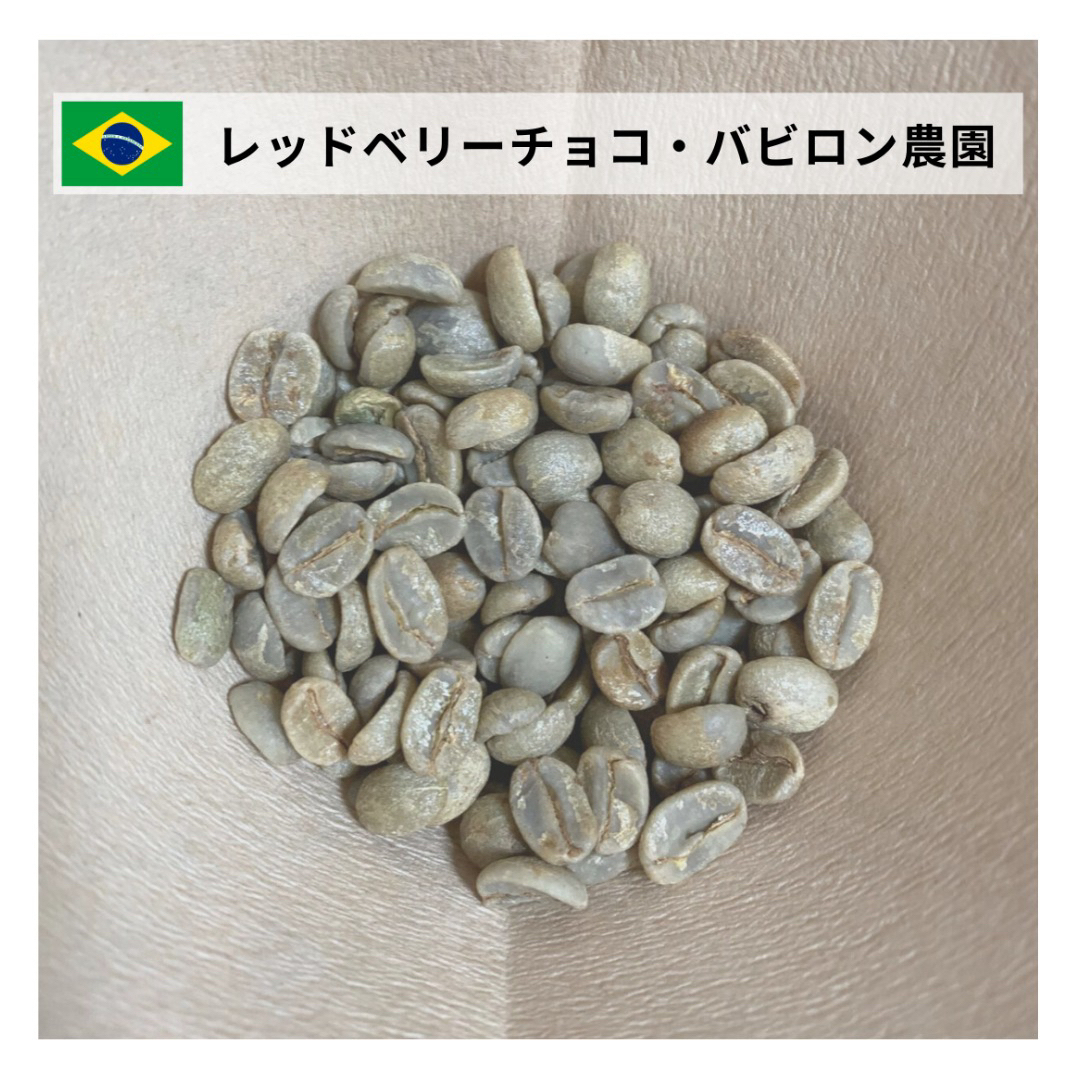 レッドベリーチョコ生豆コーヒー　【5Kg 】【送料無料】 食品/飲料/酒の飲料(コーヒー)の商品写真