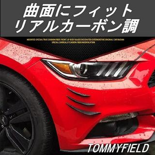 カーボン 3連 カナード ダクト汎用 BMW ポルシェ ベンツ アウディ エアロ(車外アクセサリ)