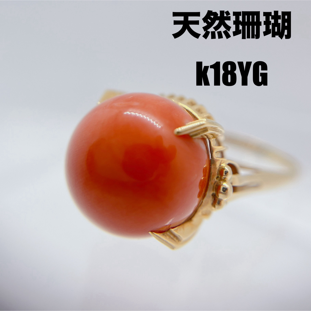 天然サンゴ　リング　指輪　大粒　17.0㎜ レディースのアクセサリー(リング(指輪))の商品写真