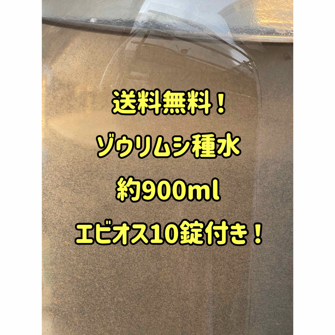 ゾウリムシ培養水約900ml！エビオス10錠つき！ その他のペット用品(アクアリウム)の商品写真