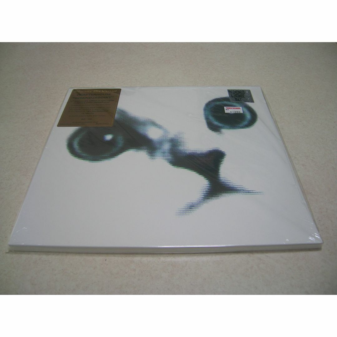 Chapterhouse Rownderbowt 1500枚限定 レコード 新品 エンタメ/ホビーのCD(ポップス/ロック(洋楽))の商品写真
