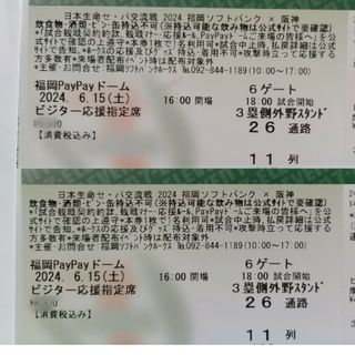 6/15(土)福岡ソフトバンクホークス×阪神タイガース(野球)