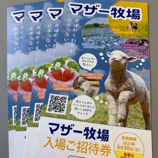 匿名発送　マザー牧場招待券〜6月30日　4枚(動物園)