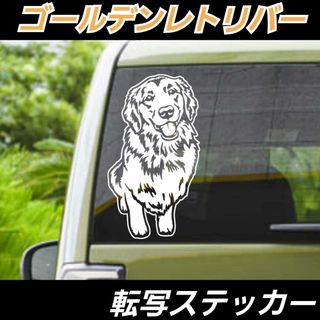 【Sサイズ:Aタイプ:白】ゴールデンレトリバー 転写式ステッカー　SUZUKI車(車外アクセサリ)