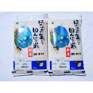 粒すけ　無洗米　10kg リピーターの多いお米(米/穀物)