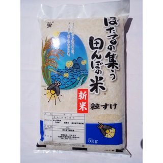 粒すけ　無洗米　5kg 令和五年(米/穀物)