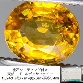 宝石ソーティング付き 天然　ゴールデンサファイア 1.324ct 縦6.7㎜×横5.6㎜×高さ3.4㎜ 624S(各種パーツ)