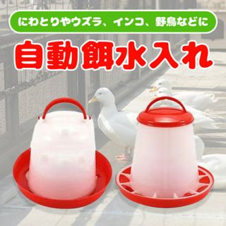 エサと水入れ（1000ml） うずらさん用 2点セット(犬)