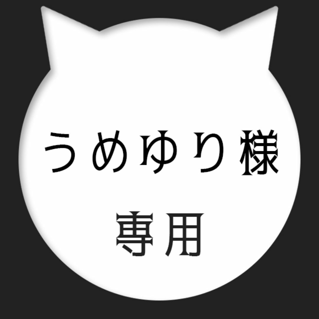 うめゆり様専用 ハンドメイドのハンドメイド その他(その他)の商品写真