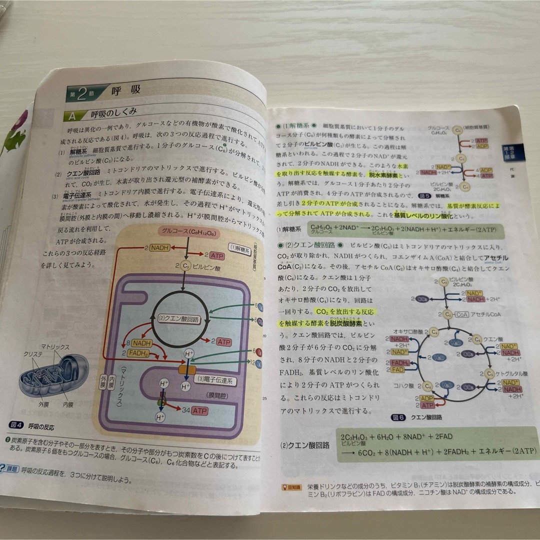 啓林館　改訂版　生物 エンタメ/ホビーの本(語学/参考書)の商品写真