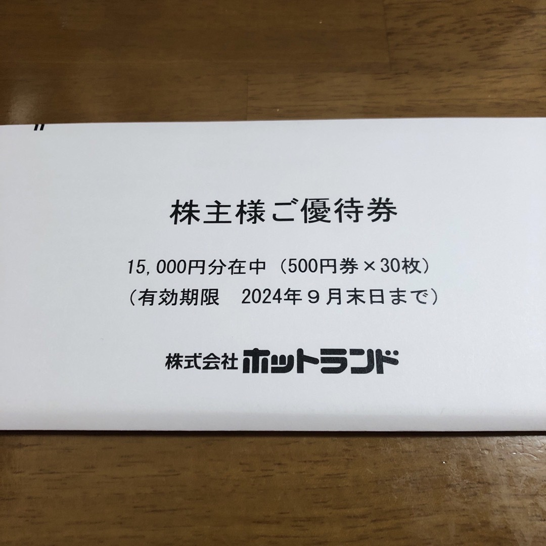 ホットランド 株主優待券 15000円分 500円券 30枚 チケットの優待券/割引券(フード/ドリンク券)の商品写真