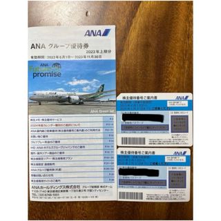 エーエヌエー(ゼンニッポンクウユ)(ANA(全日本空輸))のANA株主優待2枚(航空券)