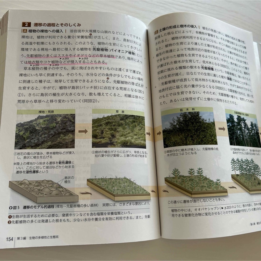 数研出版　改訂版　生物基礎 エンタメ/ホビーの本(語学/参考書)の商品写真