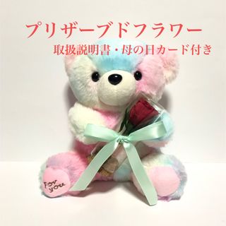 プリザーブドフラワー  赤バラ＆クマのぬいぐるみ（取扱説明書・母の日カード付き）(プリザーブドフラワー)