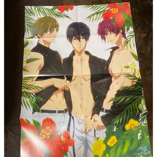 Free! ポスター(ポスター)