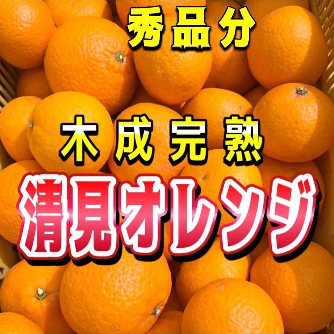 清見オレンジ　【低農薬】木なり完熟　秀品分　約5キロ　別格で甘い 食品/飲料/酒の食品(フルーツ)の商品写真