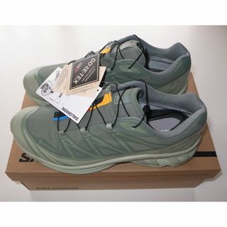 サロモン(SALOMON)のSALOMON XT-6 GTX ゴアテックス 28cm DESERT SAGE(スニーカー)