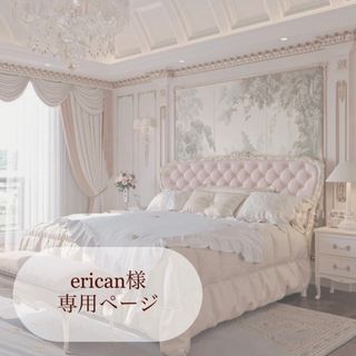 erican様専用ページ(デコパーツ)