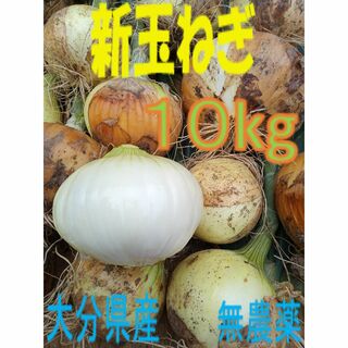 大分県産 新玉ねぎ ソニック 10kg(野菜)