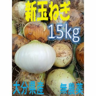 大分県産 新玉ねぎ ソニック 15kg(野菜)