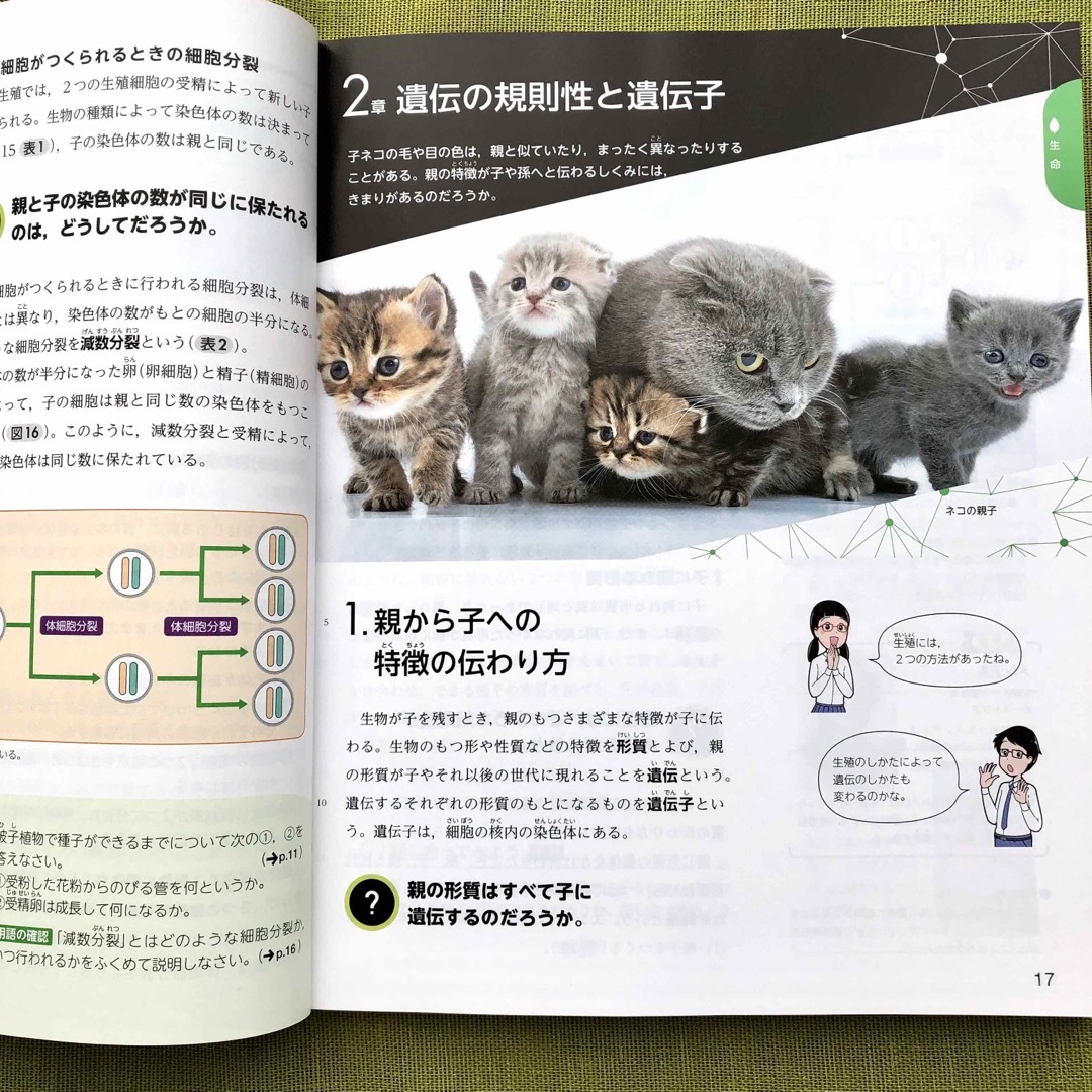 未来へひろがるサイエンス 3 [令和5年度] 啓林館 理科 中3 中学 教科書 エンタメ/ホビーの本(語学/参考書)の商品写真