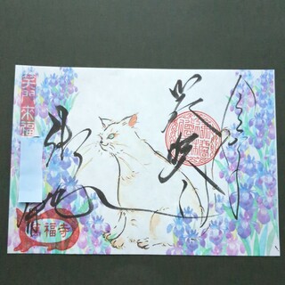 【限定】萬福寺　ステキな菖蒲　可愛らしい猫さん御朱印です(その他)
