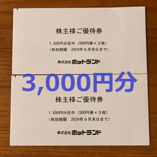 ホットランド 株主優待券3000円分　銀だこ　【匿名配送】 チケットの優待券/割(レストラン/食事券)