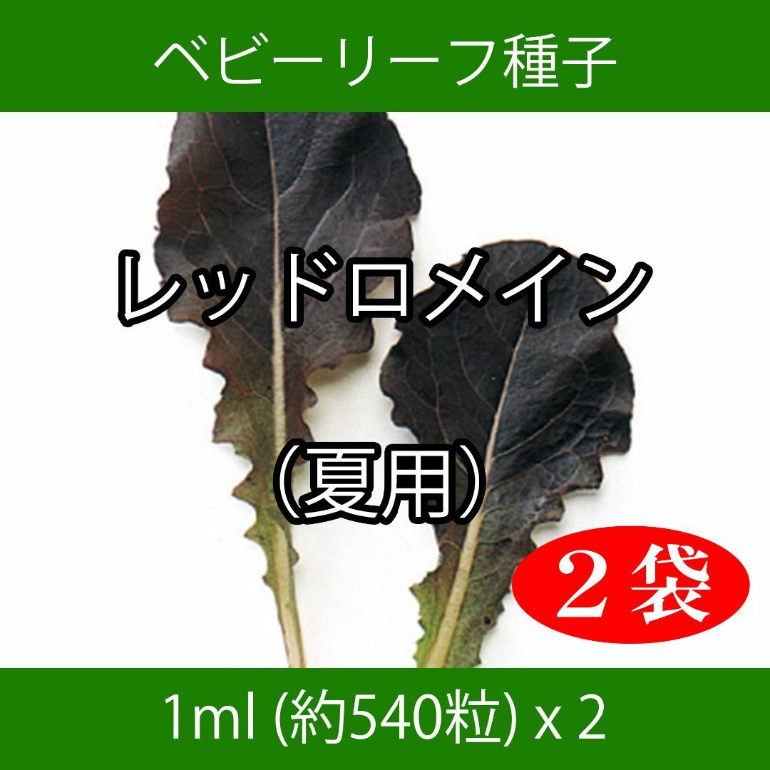 ベビーリーフ種子 B-07 レッドロメイン（夏用） 1ml 約540粒 x 2袋 食品/飲料/酒の食品(野菜)の商品写真