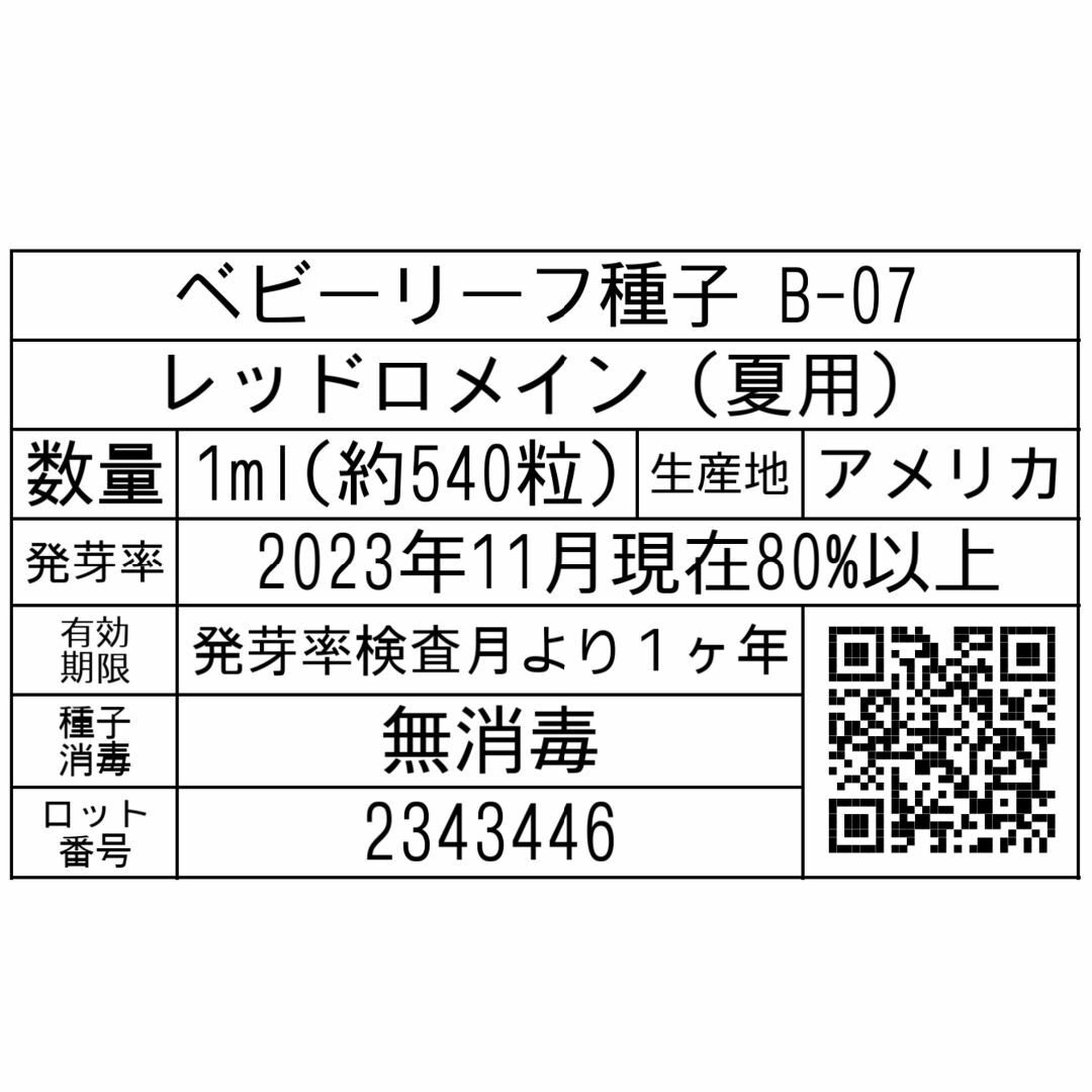 ベビーリーフ種子 B-07 レッドロメイン（夏用） 1ml 約540粒 x 2袋 食品/飲料/酒の食品(野菜)の商品写真