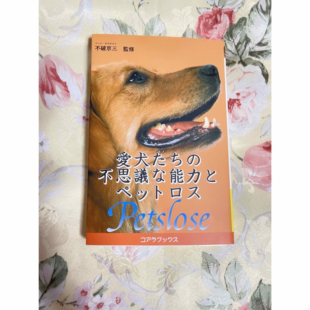 愛犬たちの不思議な能力とペットロス エンタメ/ホビーの本(住まい/暮らし/子育て)の商品写真