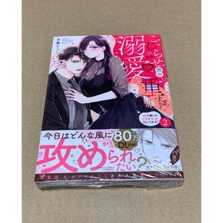 こじらせ彼の溺愛が重すぎます！１０年越しのとろ甘えっち試してみる？(女性漫画)