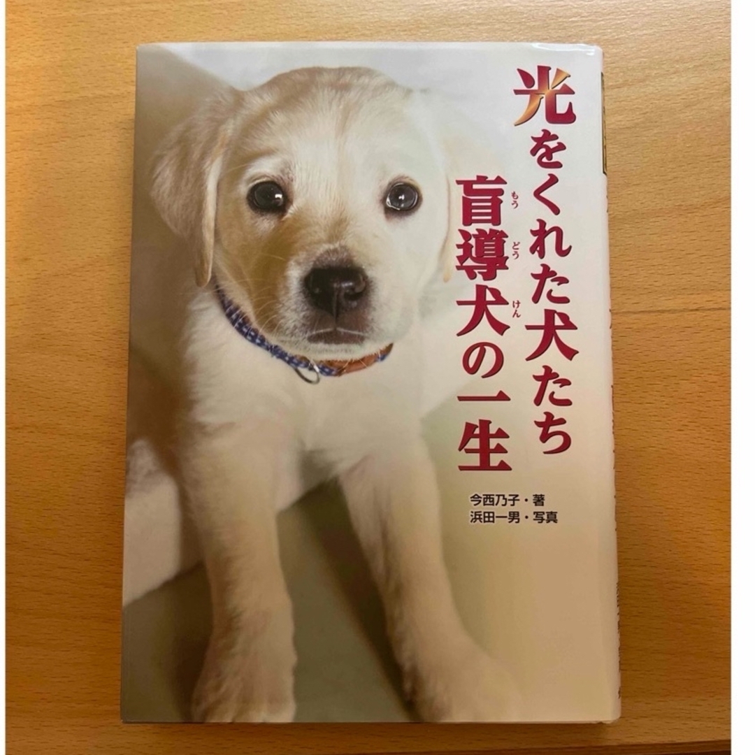 光をくれた犬たち盲導犬の一生 エンタメ/ホビーの本(絵本/児童書)の商品写真