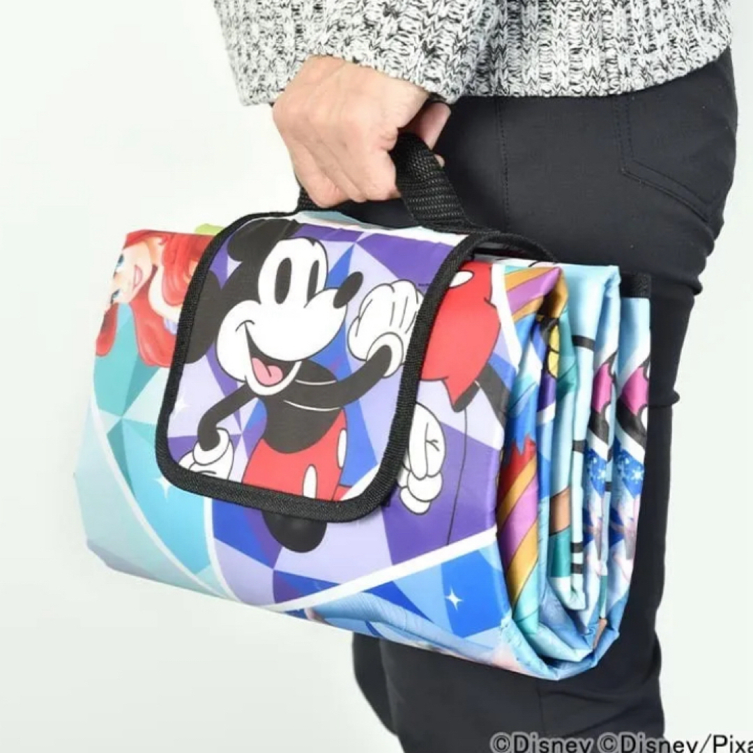 新品　JAL DREAMEXPRESS Disney100 ソフトレジャーシート スポーツ/アウトドアのアウトドア(その他)の商品写真